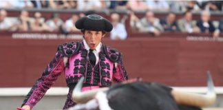 Javier Ambel, en Las Ventas. (FOTO: Juan Pelegrín)